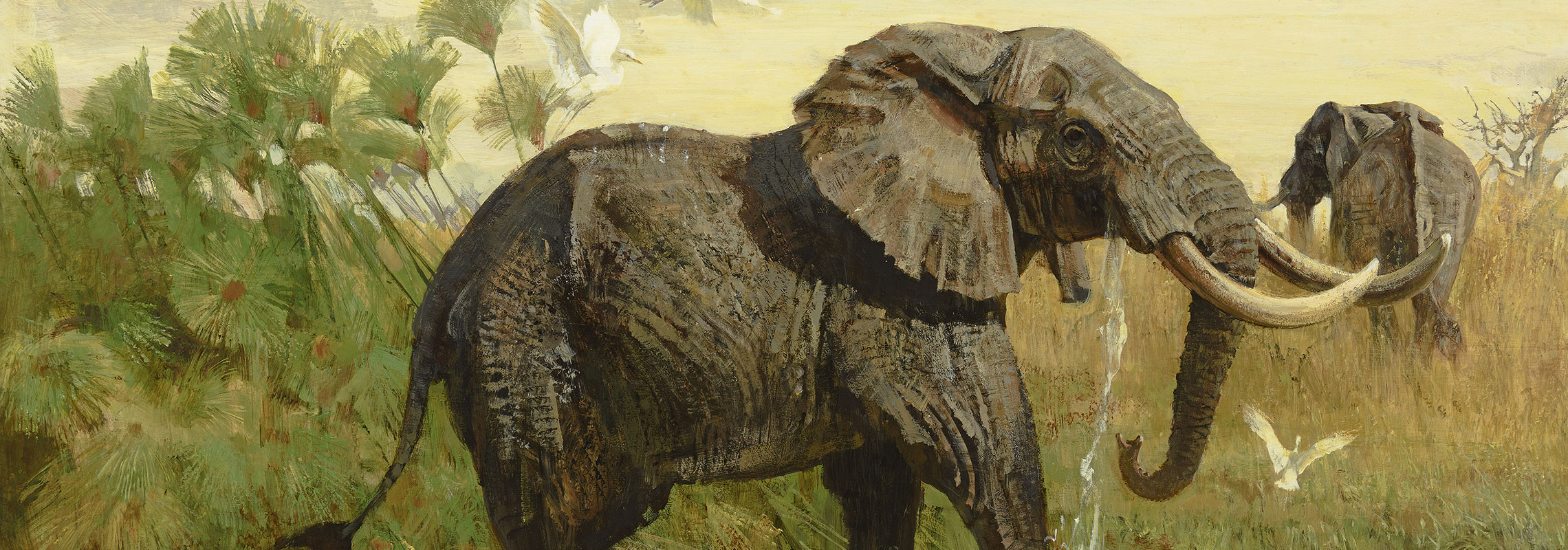 Bob Kuhn – Elephant in Papyrus