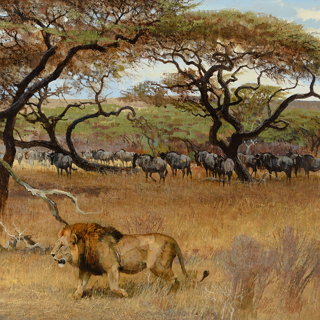 Bob Kuhn – African Baroque